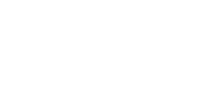 Instituto de Neurodesarrollo Integral de Aragón – INDI